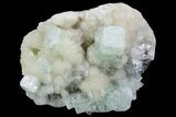 Zoned Apophyllite Crystals With Stilbite - India #100170-1